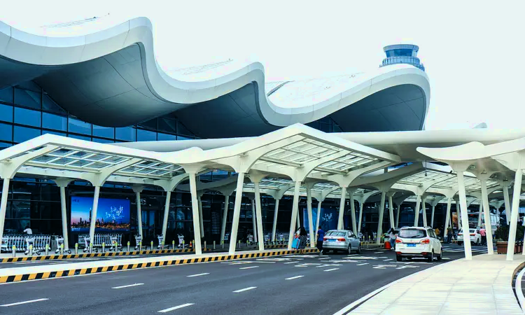 Aéroport international de Nankin Lukou
