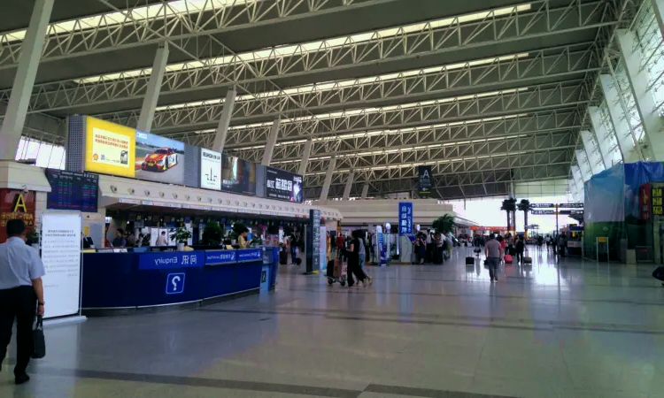 Aéroport international de Wuhan Tianhe